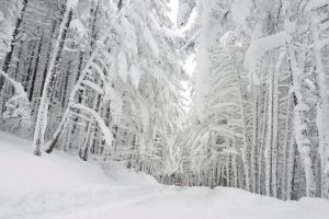 Uludağ'da kar kalınlığı 3 metre 20 santime ulaştı