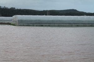 Ev ve seralar sular altında kaldı