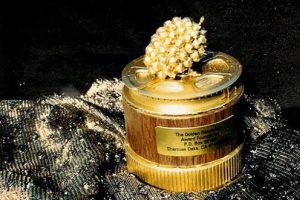 Razzie &Ouml;d&uuml;lleri'nin adayları belli oldu