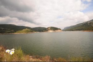 Tasarrufa devam