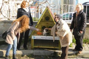Kediler villa tipi evlerde kalacak
