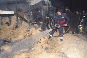 Hayvan barınağında yangın &ccedil;ıktı