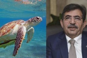 "Kaplumbağaya gelme mi diyeceğiz?"