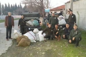 Kır bek&ccedil;ileri 1 ton &ccedil;alıntı zeytin ele ge&ccedil;irdi