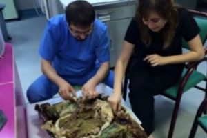 İşlerine mal oldu!
