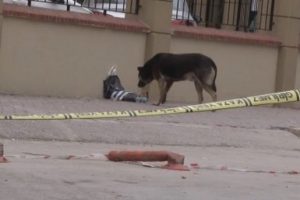 Ş&uuml;pheli poşetin yanına giden k&ouml;pek korkuttu