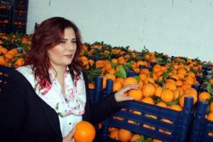 Portakallar elde kalınca imdada Belediye Başkanı koştu!