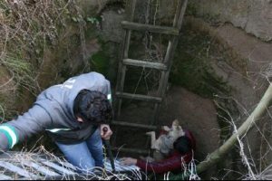K&ouml;pek i&ccedil;in itfaiye seferber oldu