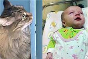 Kahraman kedi bebeği donmaktan kurtardı