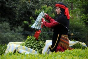 Organik yaş &ccedil;ay destekleme primleri &ouml;dendi