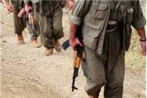 2 PKK'lı teslim oldu!