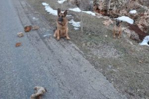 Bomba d&uuml;zeneği imha edildi