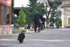 Her g&uuml;n birlikte camiye gidiyor