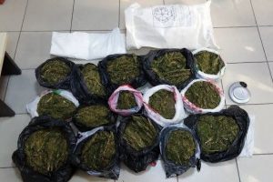 İzmir'de 14 kilo esrar ele ge&ccedil;irildi