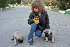 Bursa'da minik kalplerden b&uuml;y&uuml;k hareket!