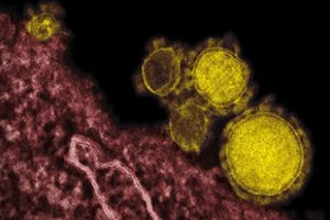 Muğla'da MERS vir&uuml;s&uuml; ş&uuml;phesi