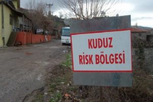 Her 10 kişiden 7'si dişlerini sıkıyor