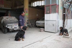 Bursa'da bu d&uuml;kkana girecek hırsızın vay haline!