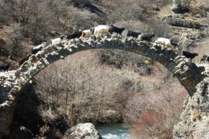 Tarihi taş k&ouml;pr&uuml; tescil edildi
