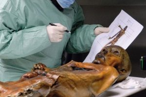 Buz adam &Ouml;tzi'nin yeni d&ouml;vmeleri bulundu