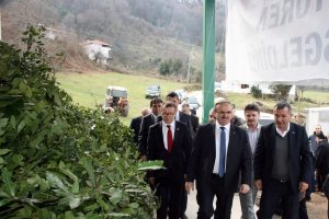 Karacabey'e defne kurutma tesisi