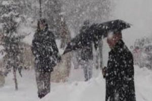 Doğu'da soğuk hava dondurdu