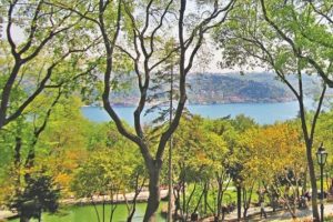 AVM değil alışveriş caddesi