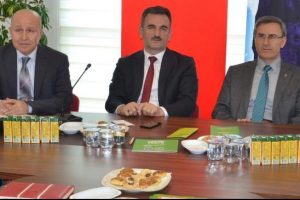 Gemlik'te zeytin festivali