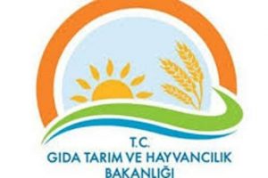 T&uuml;rk girişimcilere Sudan'a yatırım yapma fırsatı