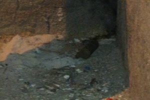 &Ccedil;ocukların oynadığı mayının patlamaması faciayı &ouml;nledi