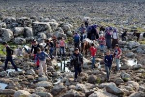 Su taşımacalığında yeni d&ouml;nem: Eşek