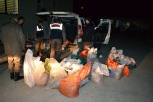 1 ton ka&ccedil;ak etle yakalandılar!