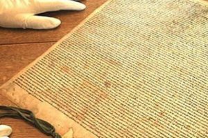 Magna Carta'nın 700 yıllık kopyası bulundu