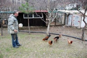 Cenazede hakkını helal etmeyen &ccedil;ift&ccedil;i, milletvekili adayı oluyor
