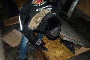 235 kilo ka&ccedil;ak ceviz ele ge&ccedil;irildi