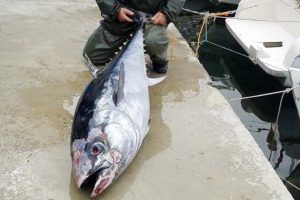 Bursalı balık&ccedil;ıkların ağına takıldı