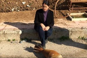 Namuslarını korumak i&ccedil;in topluca intihar etmişler