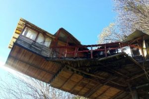 Karadeniz'in sıra dışı insanları destek bekliyor