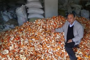 Portakal kabuğu ekmek kapıları oldu
