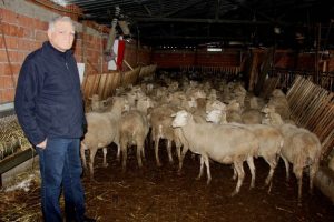 Bursalı besiciler destek bekliyor!