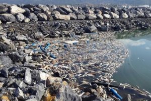 İskenderun K&ouml;rfezi'nde korkutan manzara