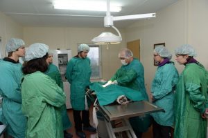 Geleceğin veterinerlerine Bursa'da uygulamalı eğitim