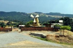 'Farmville' bu şehirde ger&ccedil;ek oluyor