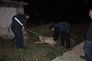 Bursa'da insanlık &ouml;lm&uuml;ş dedirten olay