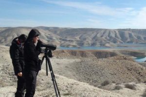 Adıyaman'da 57 t&uuml;rden 29 bin 91 su kuşu sayıldı