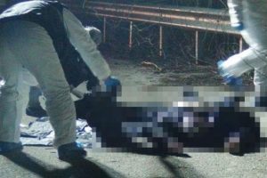 TEM'deki TIR parkında iki ceset bulundu