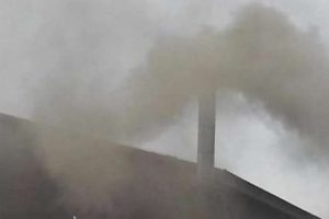 Bina bacaları zehir sa&ccedil;ıyor