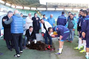 &Ccedil;aykur Rizespor antrenman &ouml;ncesi kurban kesti