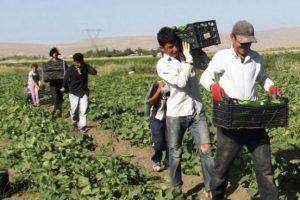 &Ccedil;ift&ccedil;iye destek &ouml;demesi ne zaman yapılacak?
