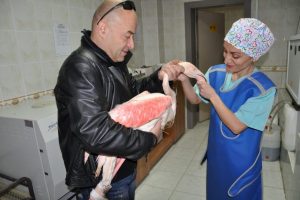 Bursa'da maganda kurbanı flamingoya ameliyat